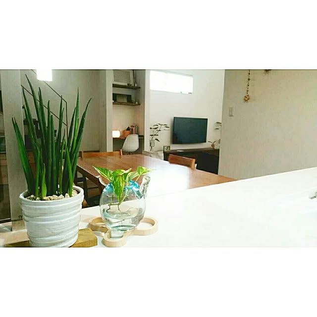 tk_home_さんの実例写真