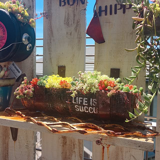 bon-bon-hippieさんの実例写真