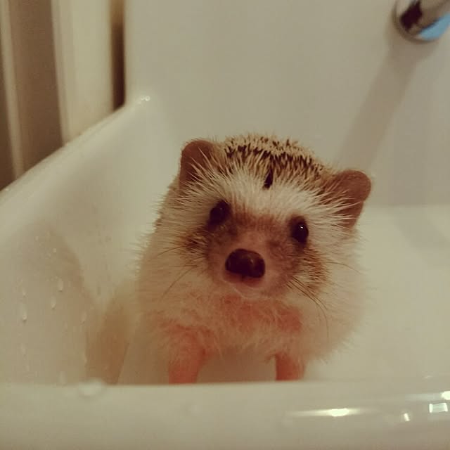 kuruさんの実例写真