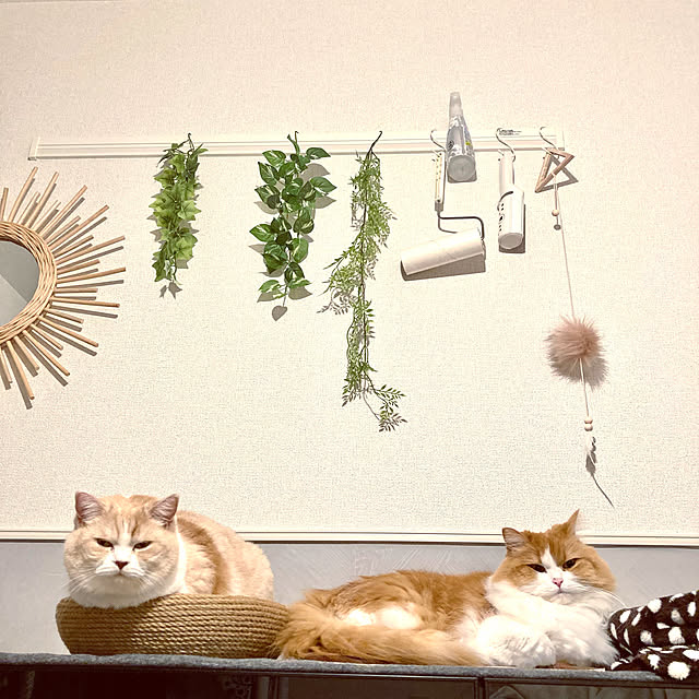 H.Tさんの実例写真