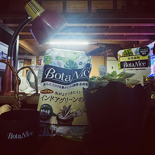 chacoさんの部屋