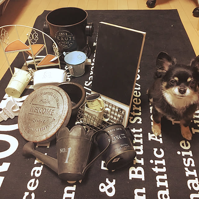 cocoさんの実例写真