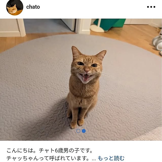 poteさんの部屋