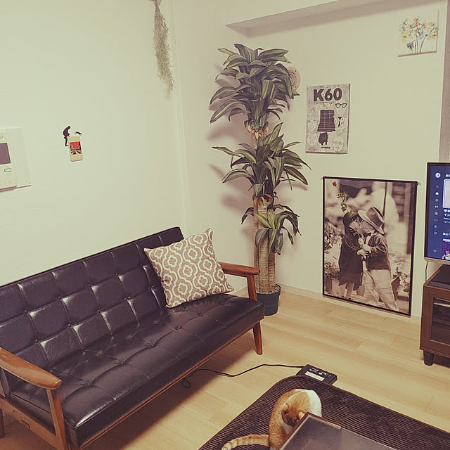 noguchiken0102さんの実例写真