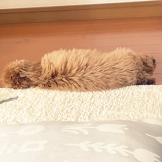 kawauso15さんの部屋