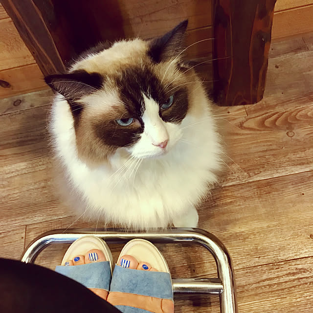 yurincaさんの実例写真