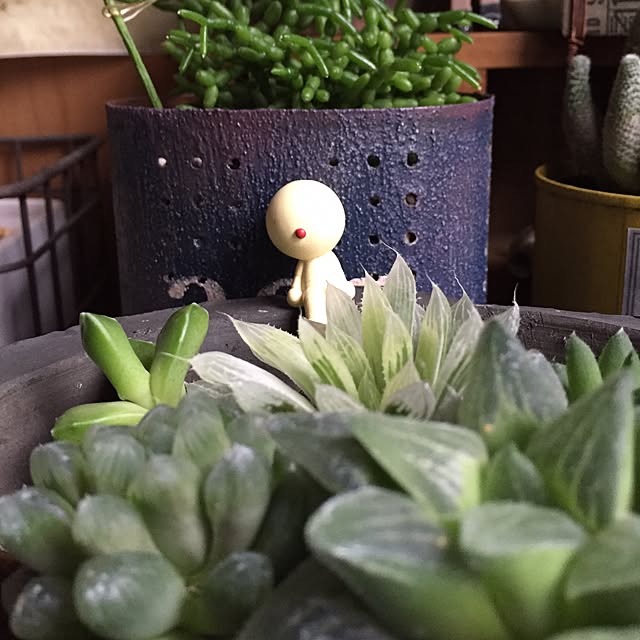 k-grainさんの実例写真