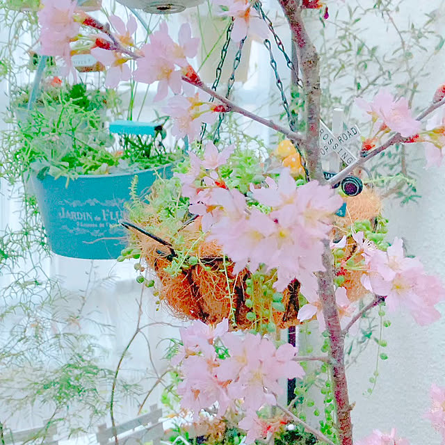 Hanakaさんの部屋