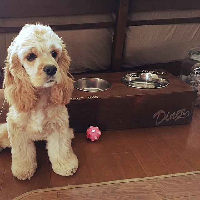 hikkoさんの実例写真