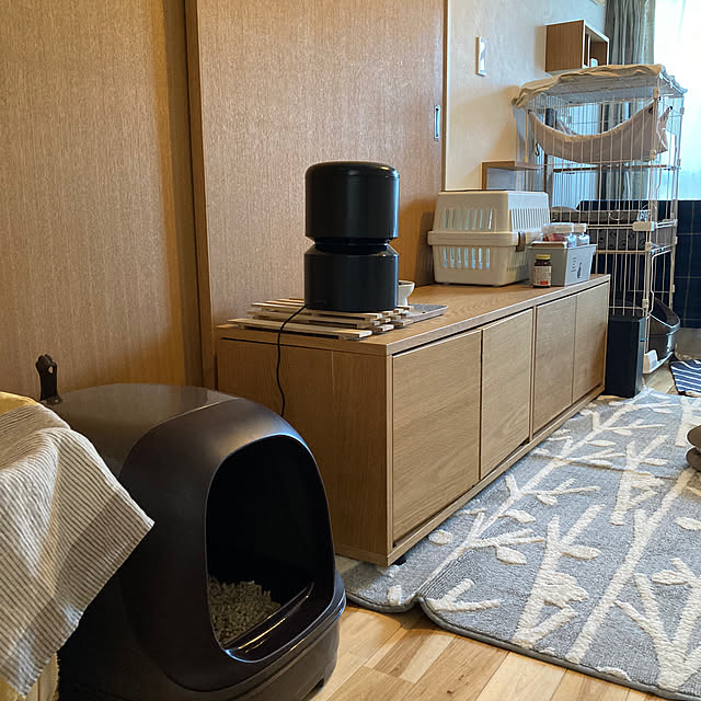 Yuccaさんの部屋