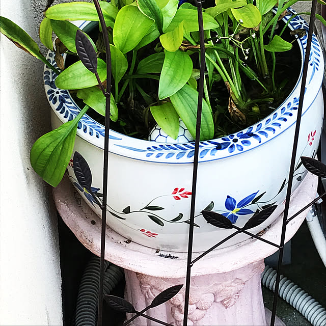 Umichanさんの実例写真
