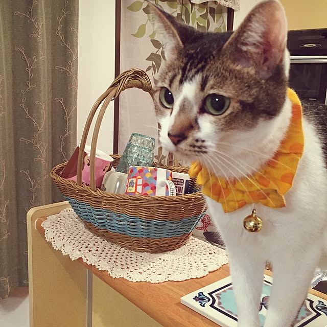 miiko3さんの実例写真