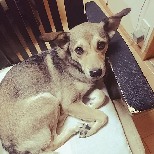 andさんの実例写真