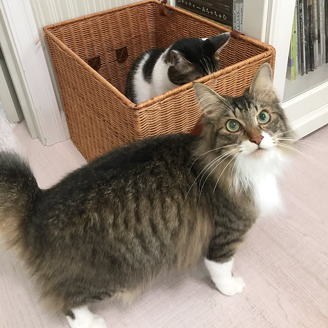 yuchiさんの実例写真