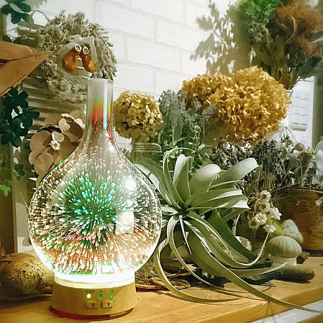 mamimamipockyさんの実例写真