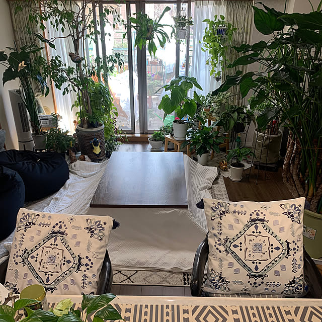 Aqettyさんの部屋