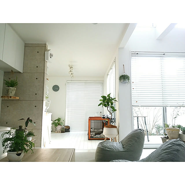 mi-さんの実例写真