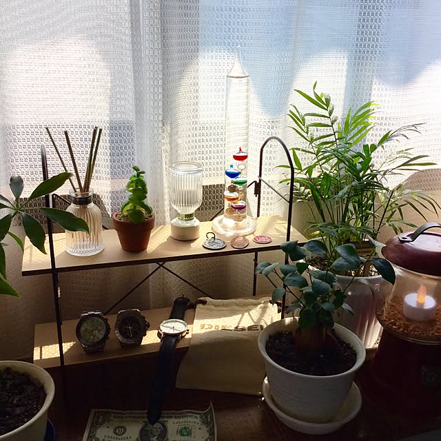 TAKUさんの実例写真