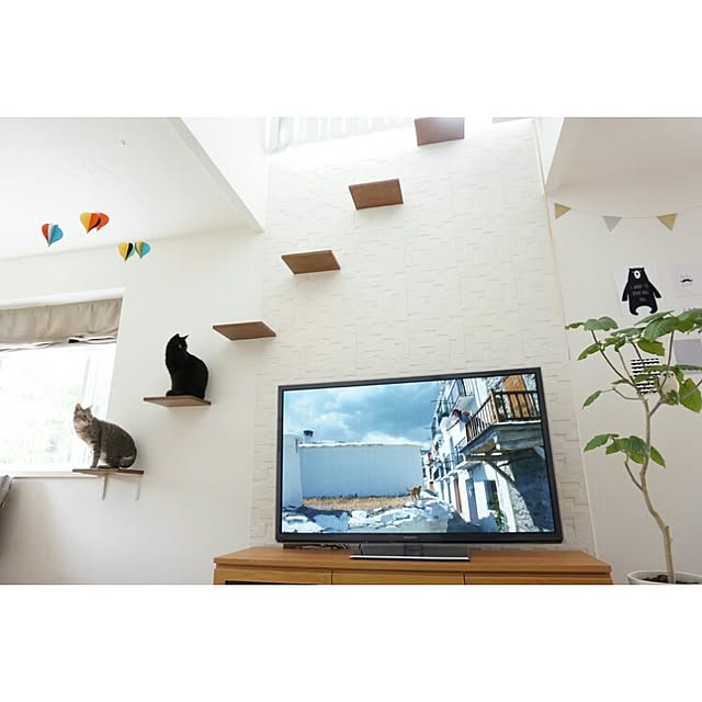 arutotoさんの実例写真