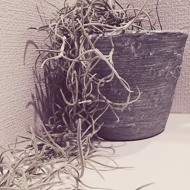 1426mさんの実例写真
