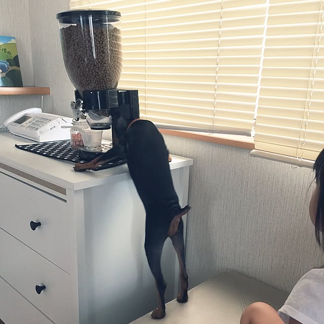 Hitomiさんの実例写真