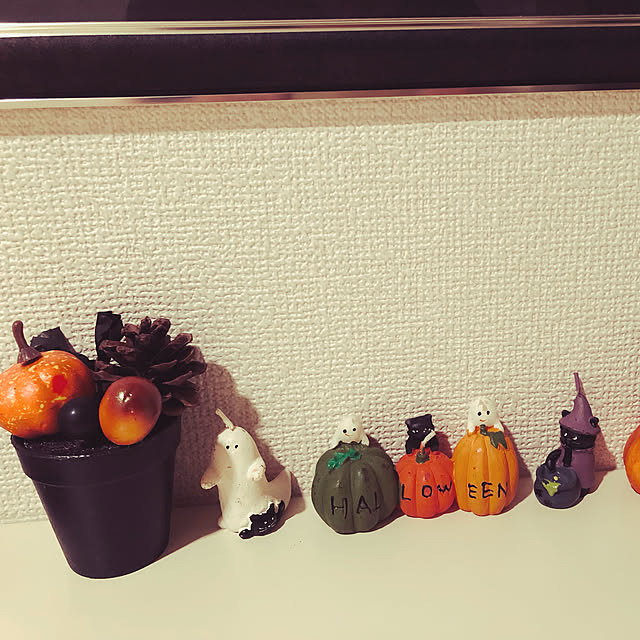kameさんの実例写真