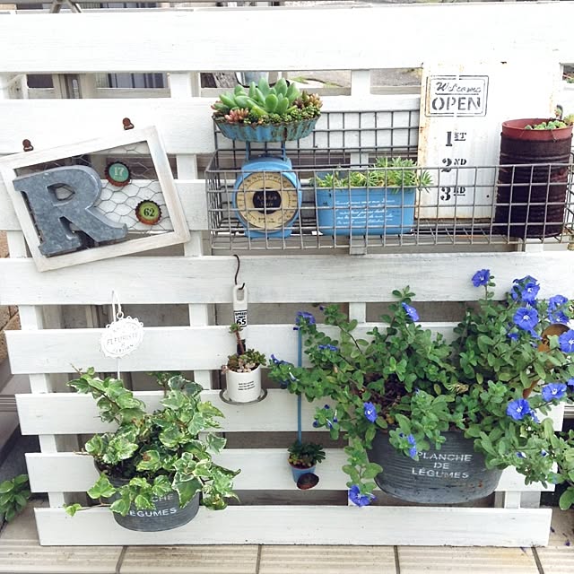 kohakuruさんの実例写真