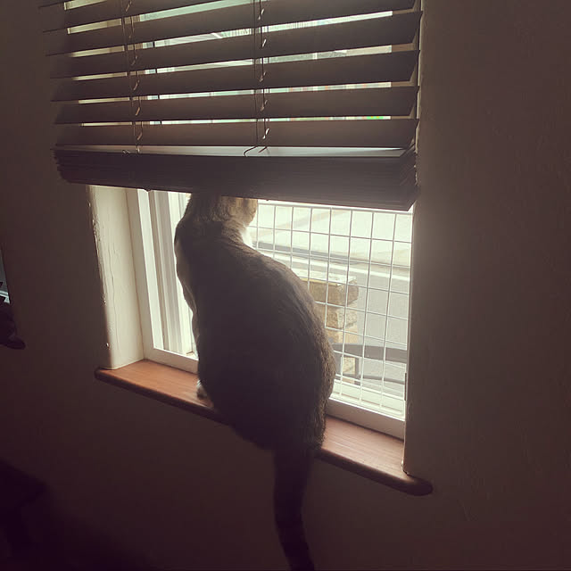 yurari.bonnさんの実例写真