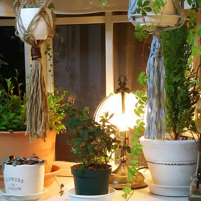 naopyiさんの実例写真