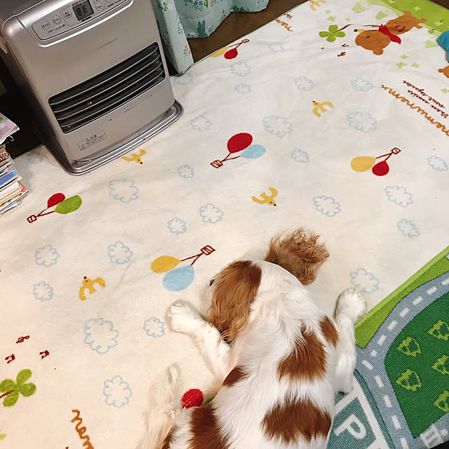 pepeさんの実例写真