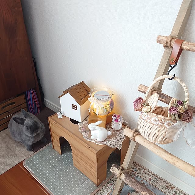 kirariさんの部屋