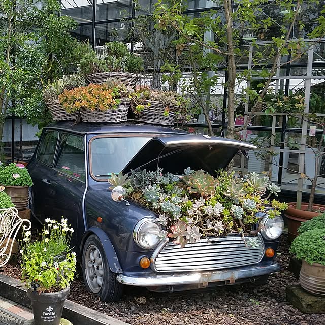 実例写真