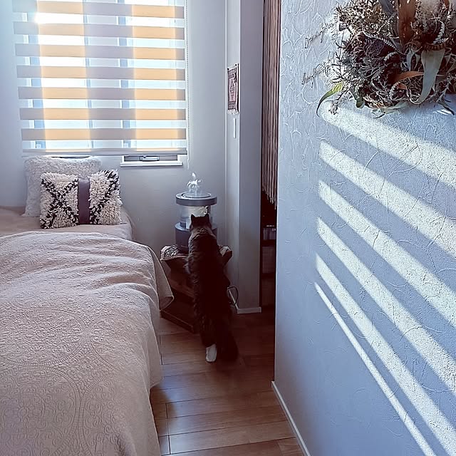 hagyu7kuroさんの部屋