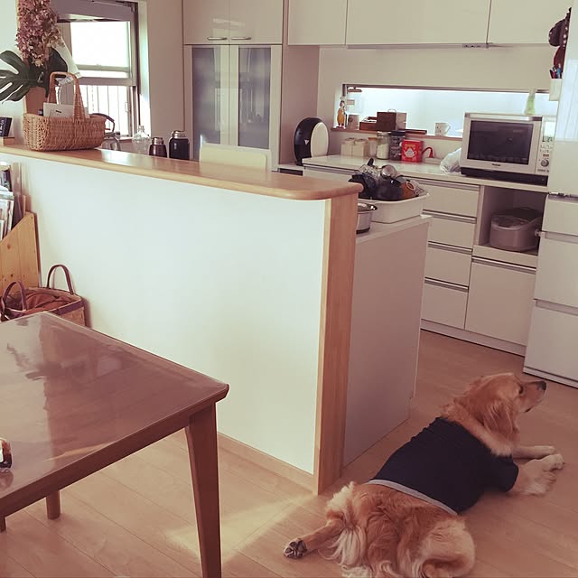 Kazueさんの実例写真