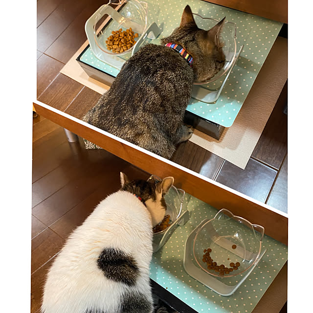 ranpo_momさんの実例写真