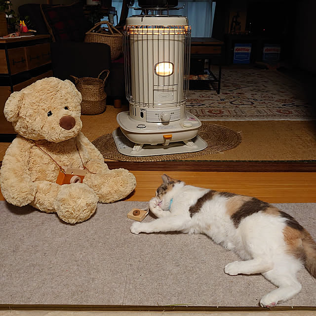fukuさんの実例写真