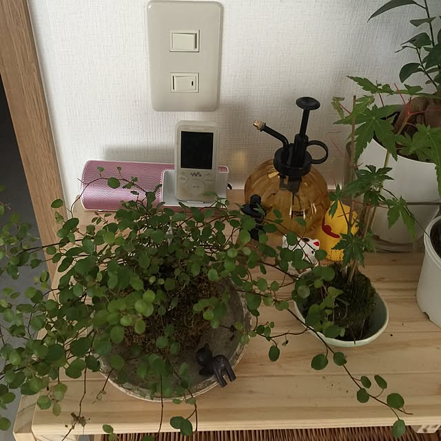 miruさんの実例写真