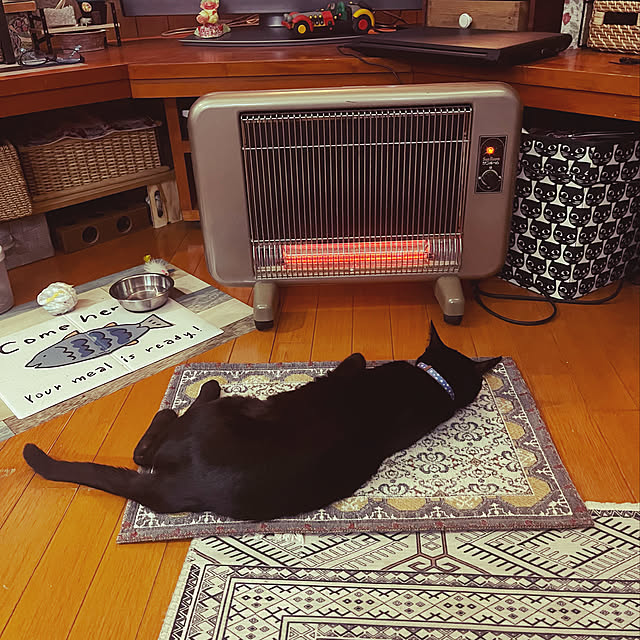 jijiさんの実例写真