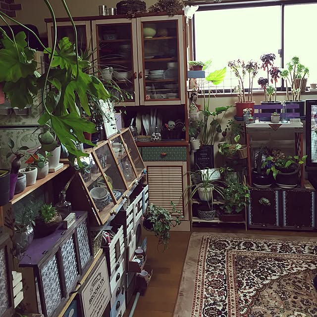 Norikoさんの実例写真