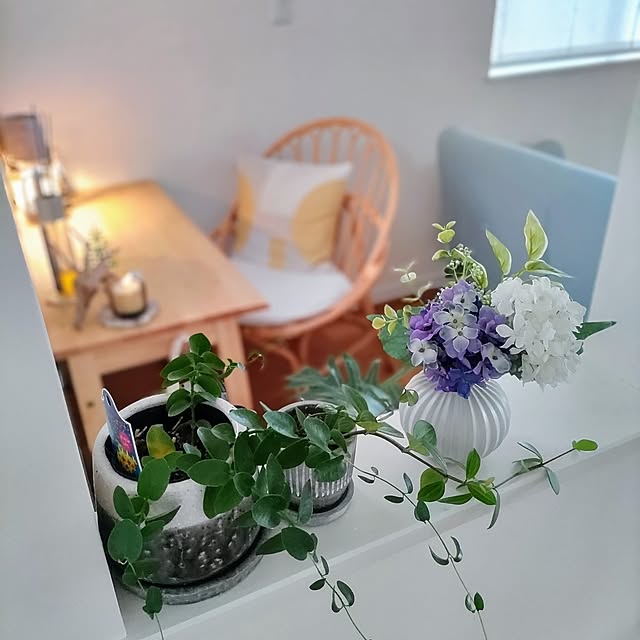 Haさんの実例写真