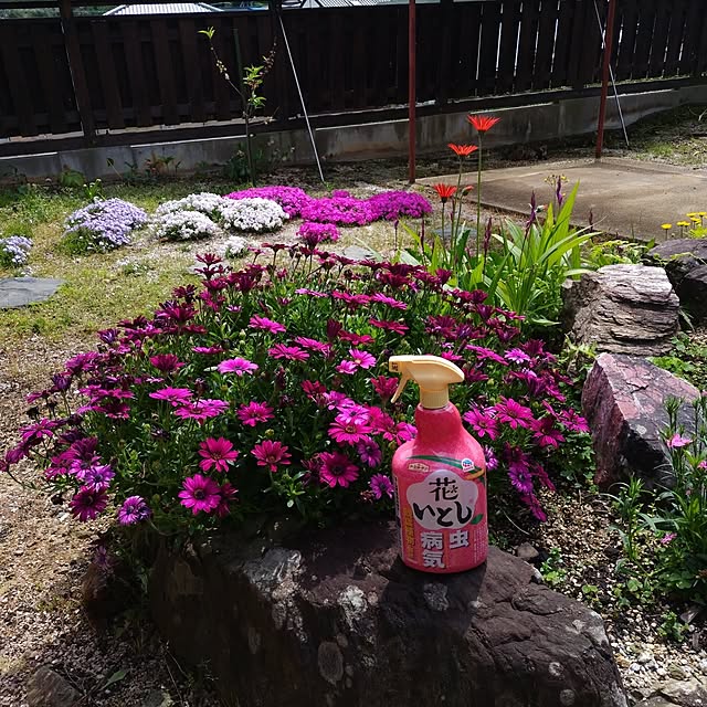 kuririnmamaさんの部屋