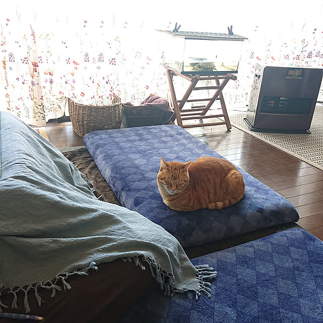 okyosan101さんの実例写真