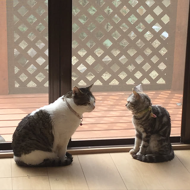 Norikoさんの実例写真