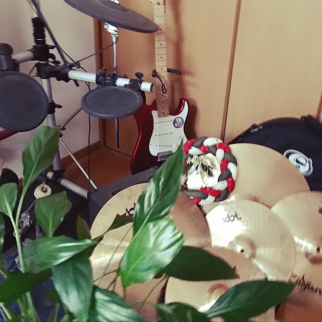puriyuzuさんの実例写真