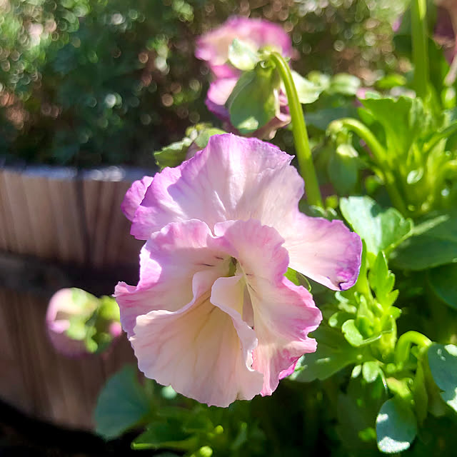 tomoさんの実例写真