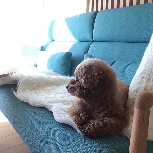 kilala_pさんの実例写真