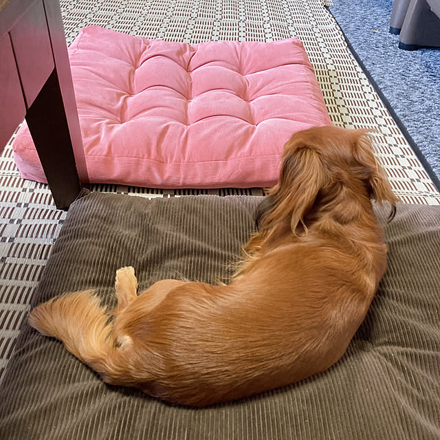 yuyuさんの部屋