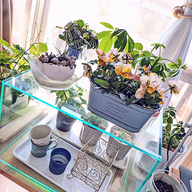 mi-saさんの実例写真