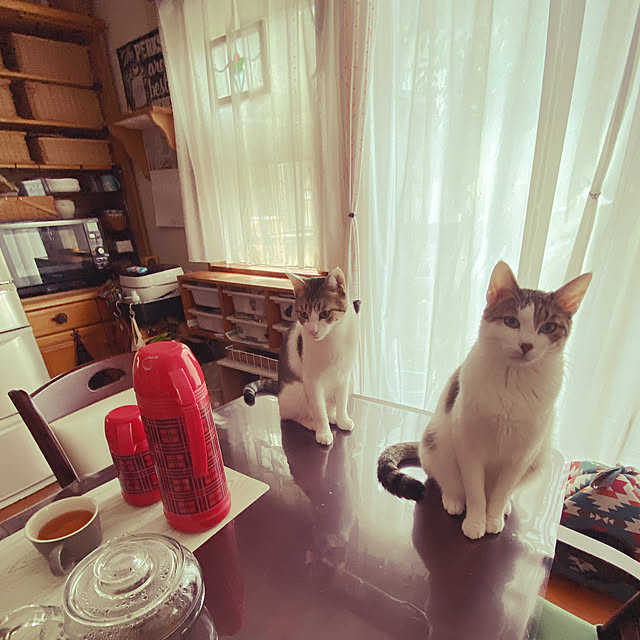 Lufuさんの実例写真