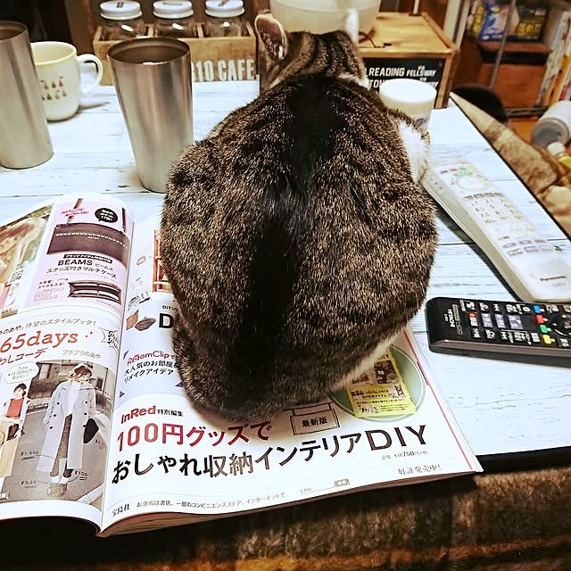 kiraさんの実例写真